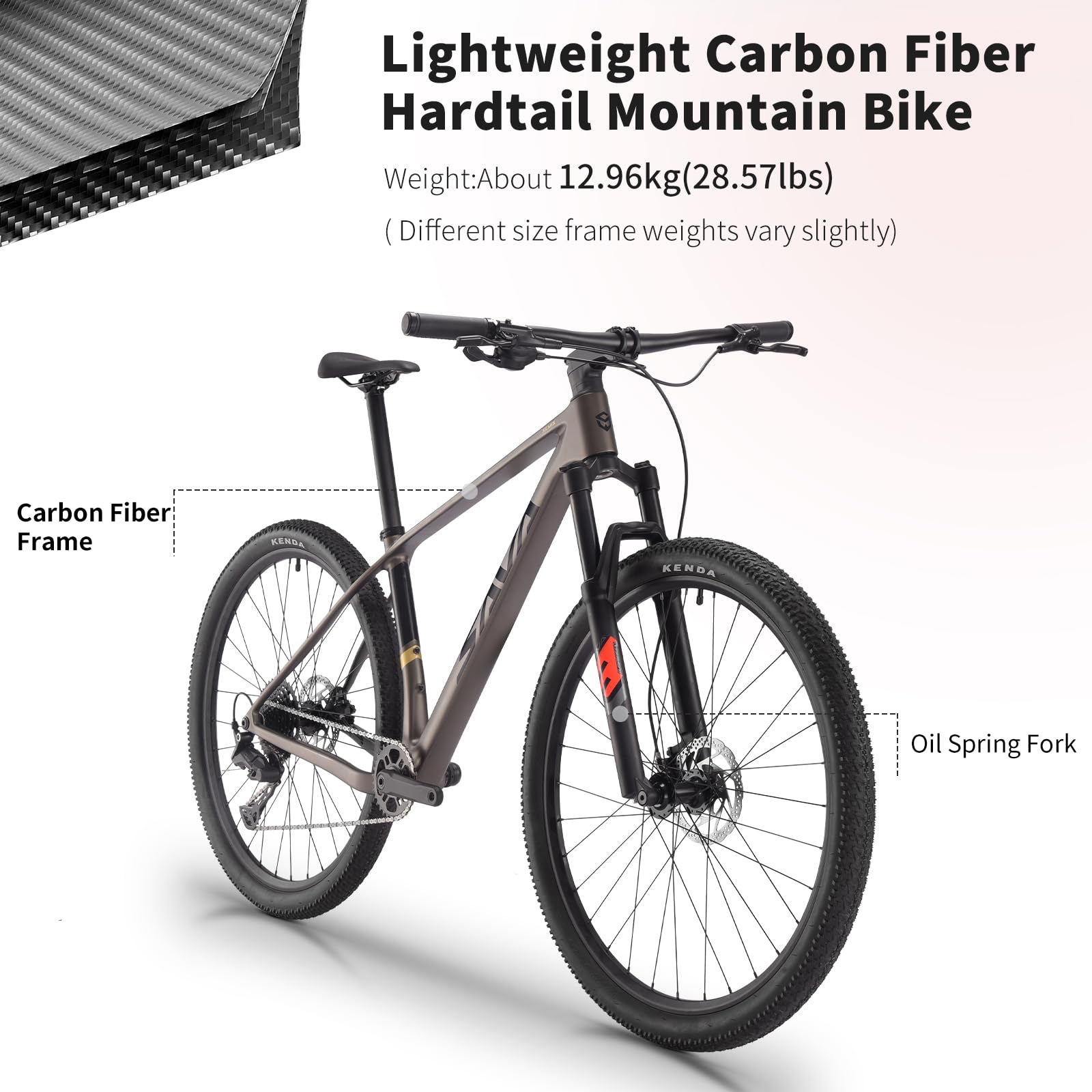 Carbon Fiber MTB – Shimano 10-Speed, Hydraulic Disc Brakes