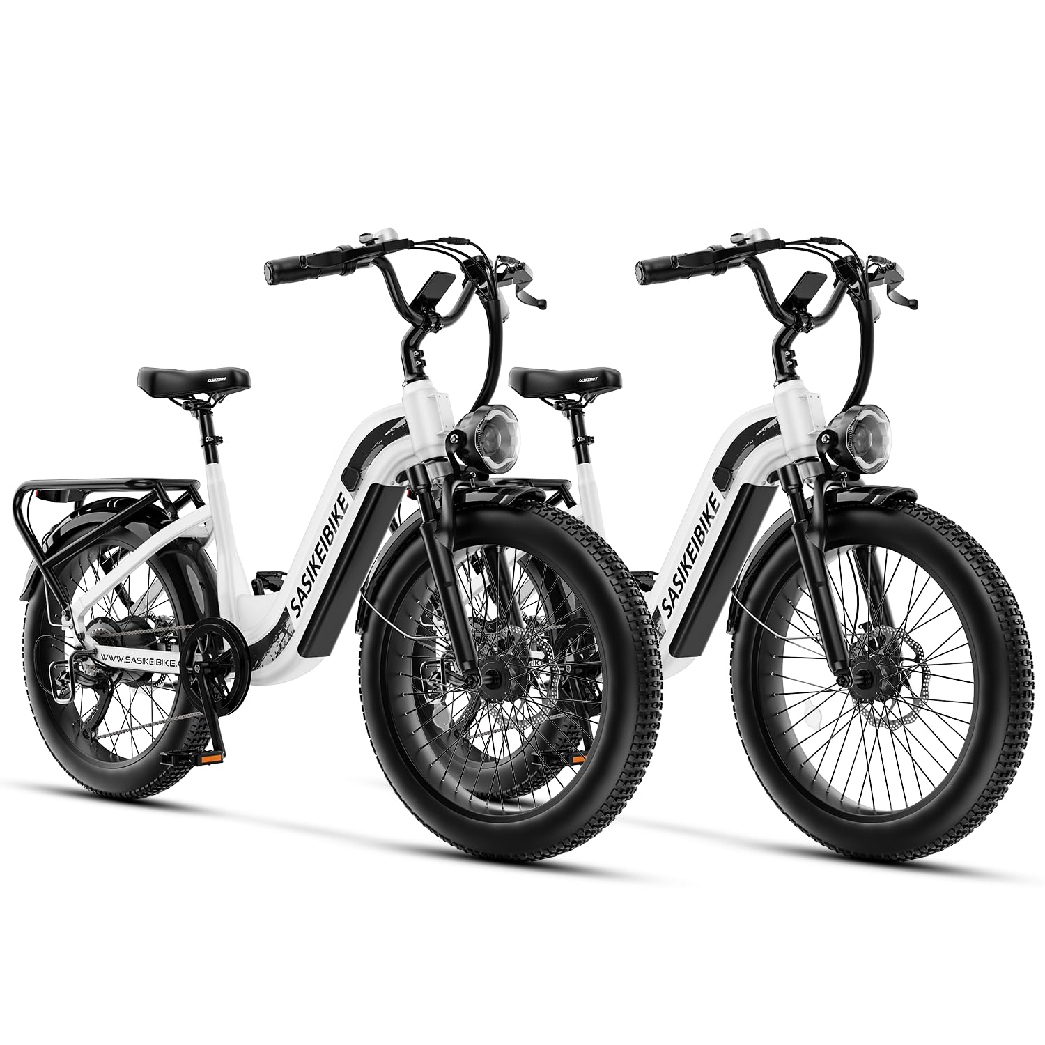 24" Fat Tire Electric Bike – 1500W, Step-Through, Removable Battery