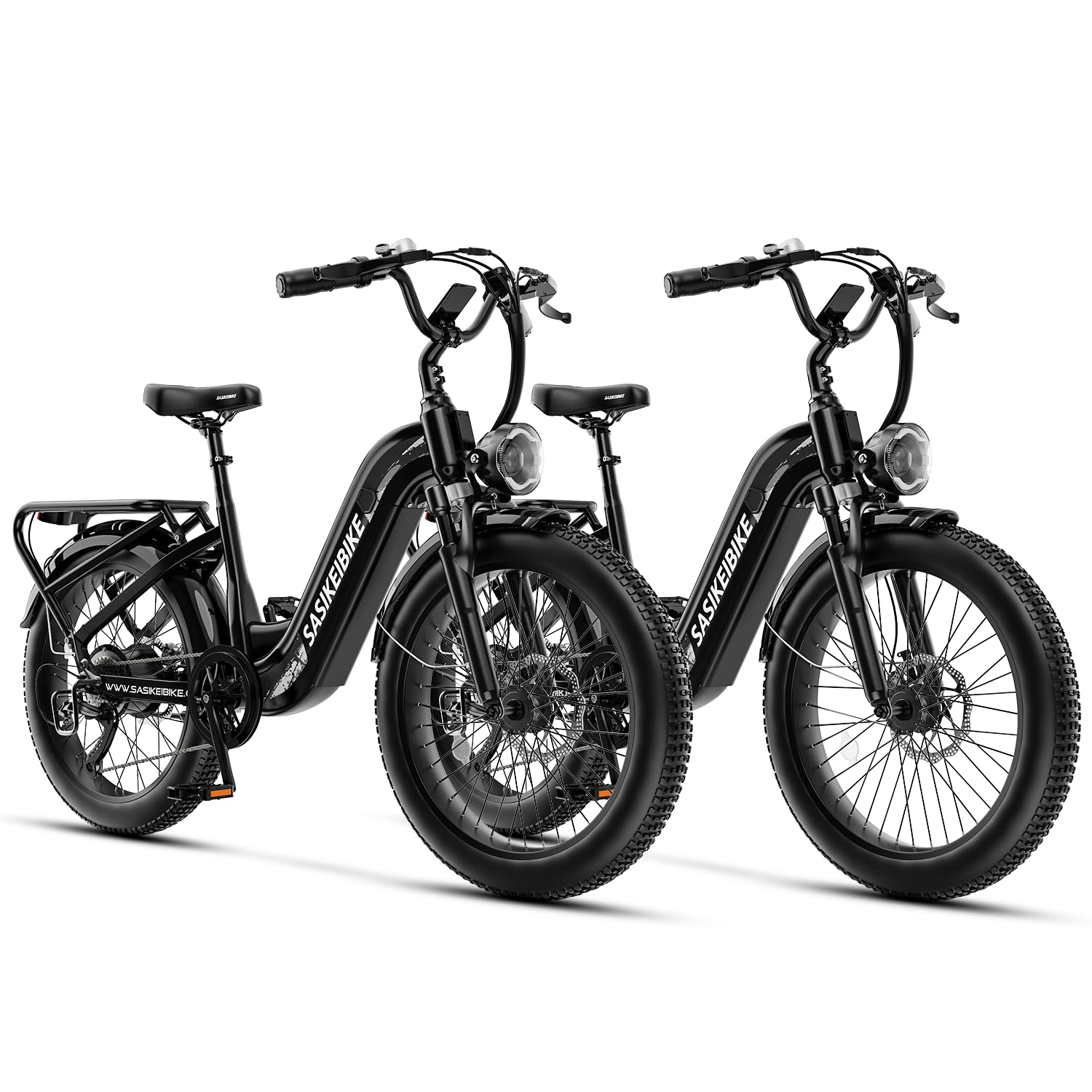 24" Fat Tire Electric Bike – 1500W, Step-Through, Removable Battery